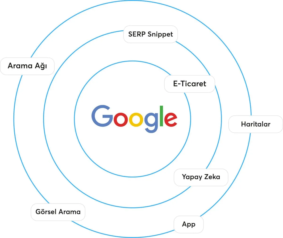 SEO-Hizmetler-Grafigi