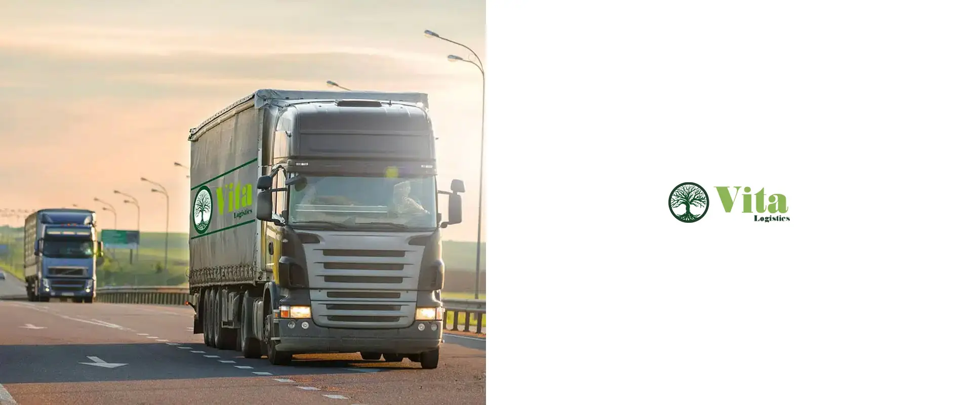 vita logistic